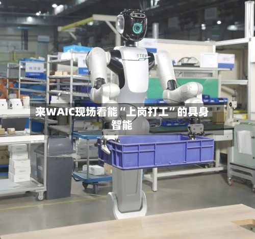 来WAIC现场看能“上岗打工	”的具身智能-第2张图片