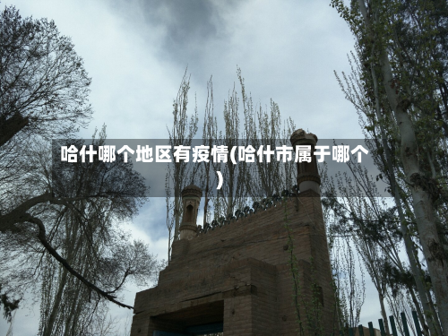 哈什哪个地区有疫情(哈什市属于哪个)-第1张图片