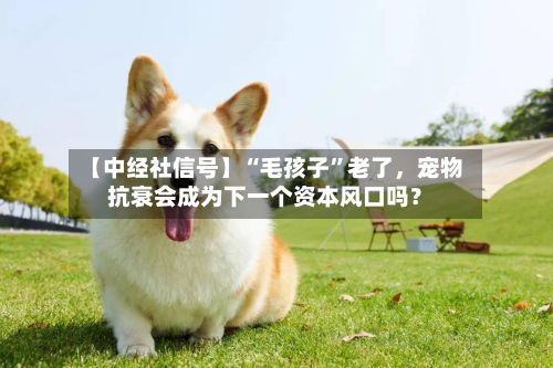 【中经社信号】“毛孩子	”老了，宠物抗衰会成为下一个资本风口吗？-第2张图片