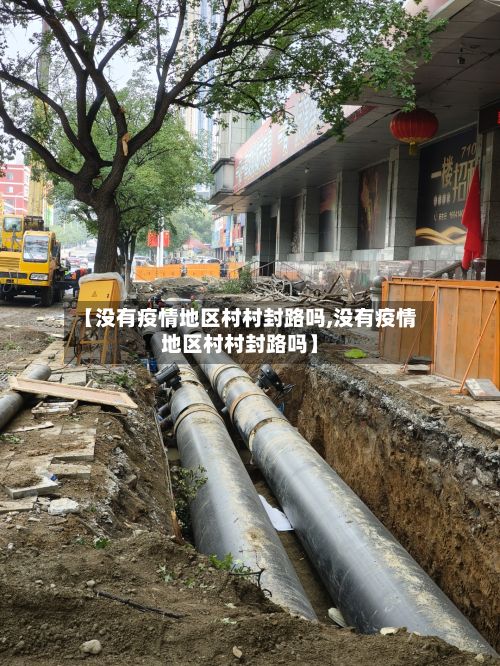 【没有疫情地区村村封路吗,没有疫情地区村村封路吗】-第1张图片