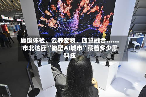 魔镜体检、云养宠物	、四算融合……市北这座“微型AI城市”藏着多少黑科技-第2张图片