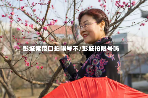 彭城常范口拍限号不/彭城拍限号吗-第1张图片