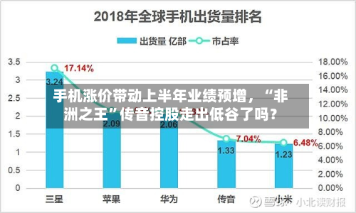 手机涨价带动上半年业绩预增，“非洲之王”传音控股走出低谷了吗？-第3张图片
