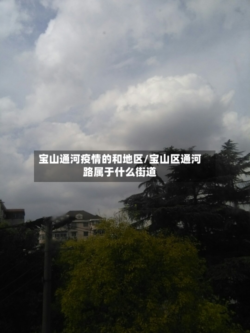 宝山通河疫情的和地区/宝山区通河路属于什么街道-第1张图片