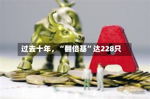 过去十年，“翻倍基”达228只-第2张图片