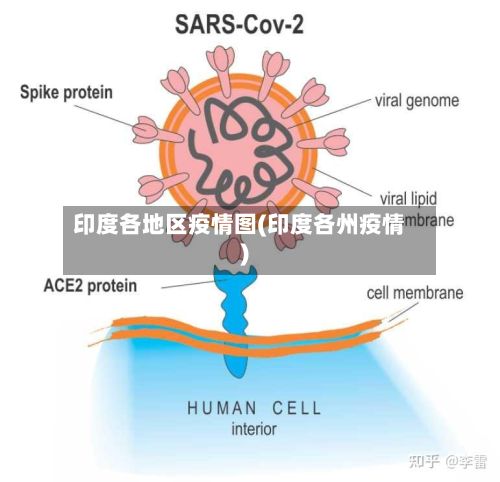 印度各地区疫情图(印度各州疫情)-第1张图片