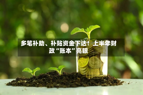 多笔补助、补贴资金下达！上半年财政“账本”亮眼-第3张图片