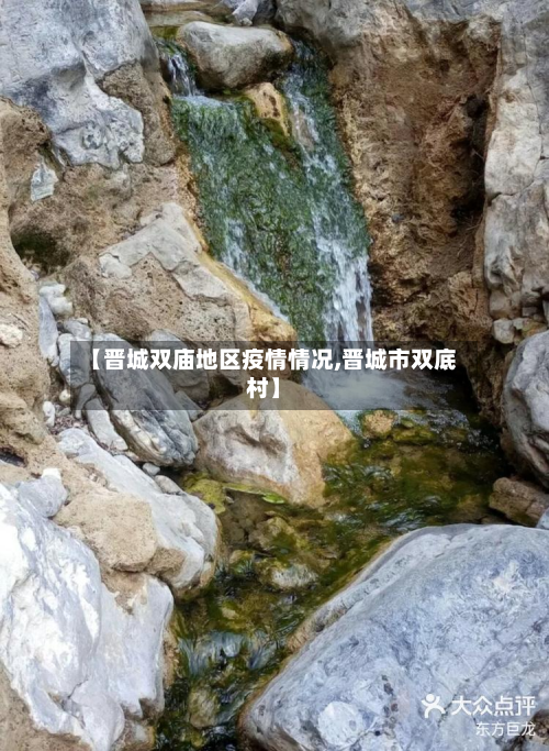 【晋城双庙地区疫情情况,晋城市双底村】-第1张图片