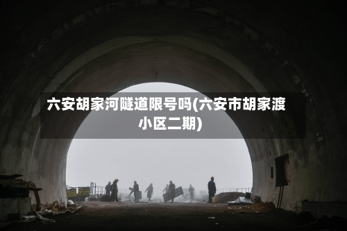 六安胡家河隧道限号吗(六安市胡家渡小区二期)-第1张图片