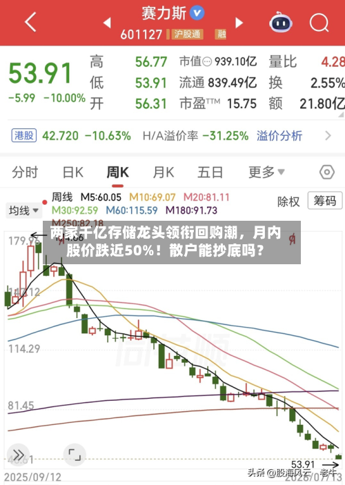 两家千亿存储龙头领衔回购潮，月内股价跌近50%！散户能抄底吗？-第2张图片