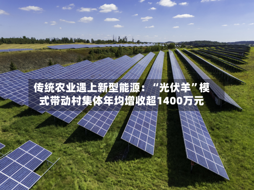 传统农业遇上新型能源：“光伏羊”模式带动村集体年均增收超1400万元-第2张图片