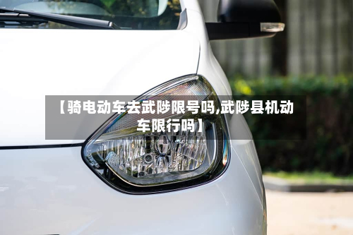 【骑电动车去武陟限号吗,武陟县机动车限行吗】-第1张图片