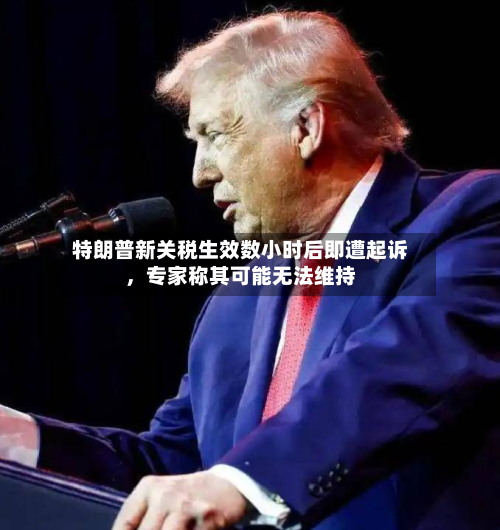 特朗普新关税生效数小时后即遭起诉，专家称其可能无法维持-第1张图片