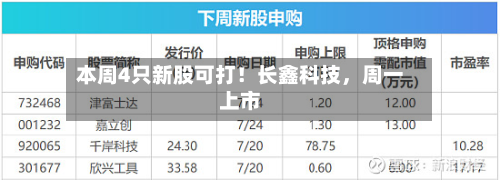 本周4只新股可打！长鑫科技，周一上市-第2张图片