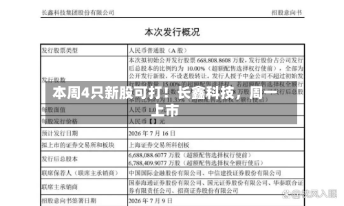 本周4只新股可打！长鑫科技，周一上市-第3张图片