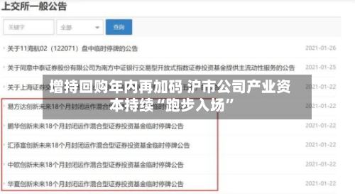 增持回购年内再加码 沪市公司产业资本持续“跑步入场”-第2张图片