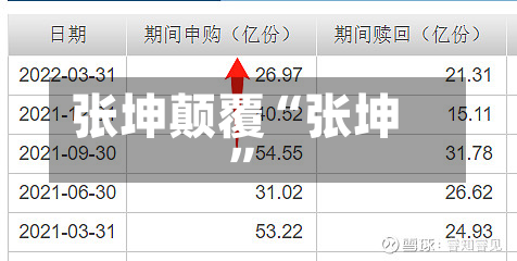 张坤颠覆“张坤”-第2张图片