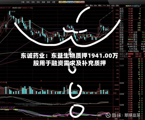 东诚药业:东益生物质押1941.00万股用于融资需求及补充质押-第2张图片