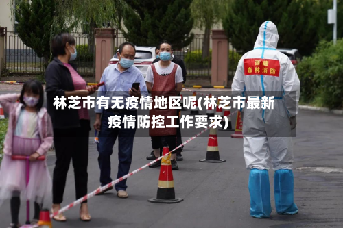 林芝市有无疫情地区呢(林芝市最新疫情防控工作要求)-第1张图片