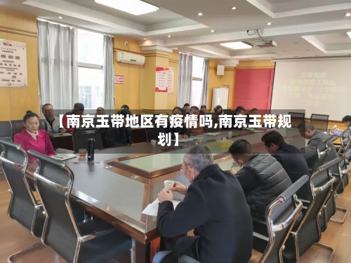 【南京玉带地区有疫情吗,南京玉带规划】-第1张图片