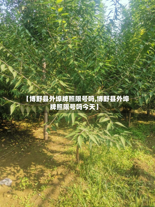 【博野县外埠牌照限号吗,博野县外埠牌照限号吗今天】-第1张图片