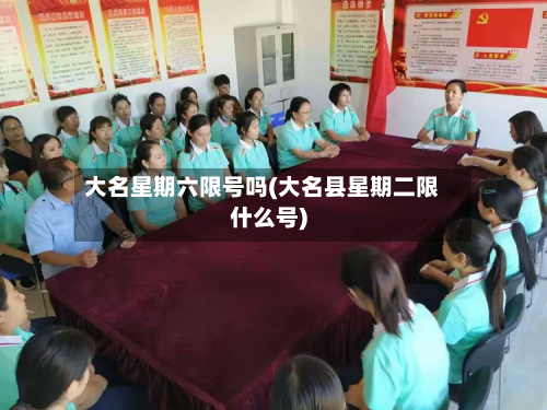 大名星期六限号吗(大名县星期二限什么号)-第1张图片
