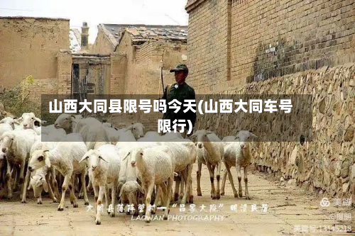 山西大同县限号吗今天(山西大同车号限行)-第1张图片