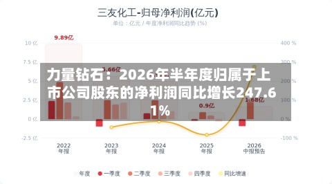 力量钻石:2026年半年度归属于上市公司股东的净利润同比增长247.61%-第3张图片