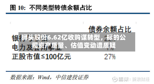 狮头股份6.62亿收购谋转型，标的公司资产质量	、估值变动遭质疑-第3张图片