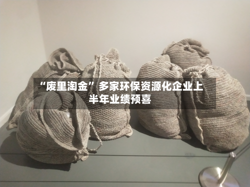 “废里淘金” 多家环保资源化企业上半年业绩预喜-第2张图片