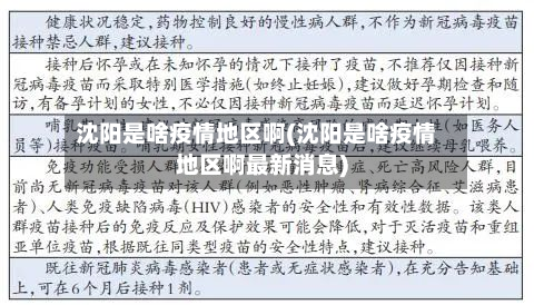 沈阳是啥疫情地区啊(沈阳是啥疫情地区啊最新消息)-第1张图片
