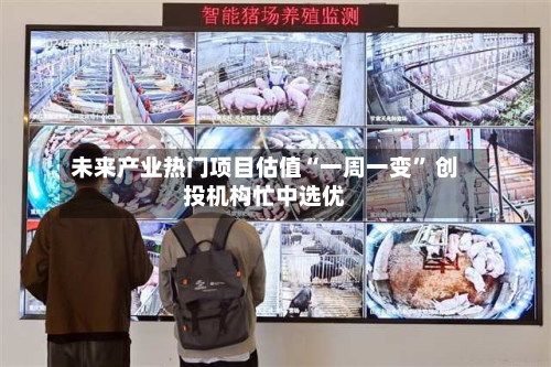 未来产业热门项目估值“一周一变” 创投机构忙中选优-第2张图片