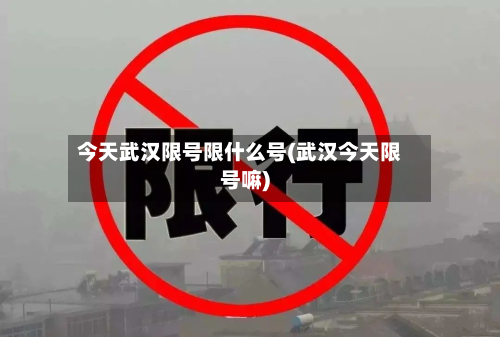 今天武汉限号限什么号(武汉今天限号嘛)-第1张图片