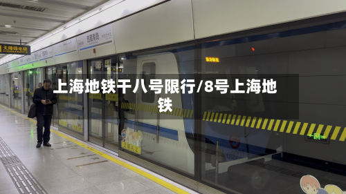 上海地铁干八号限行/8号上海地铁-第1张图片