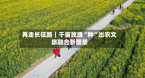 再走长征路｜千亩玫瑰“种	”出农文旅融合新图景-第2张图片