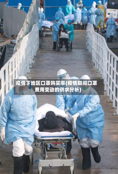 疫情下地区口罩购买率(疫情期间口罩费用变动的供求分析)-第1张图片
