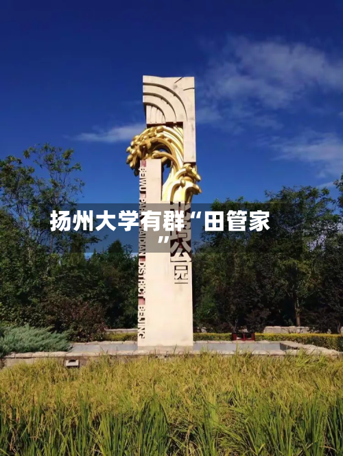 扬州大学有群“田管家”-第2张图片