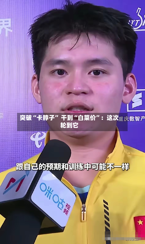 突破“卡脖子” 干到“白菜价”：这次轮到它-第2张图片