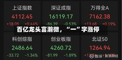 百亿龙头富瀚微，“一	”字涨停-第3张图片