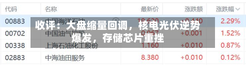 收评：大盘缩量回调，核电光伏逆势爆发	，存储芯片重挫-第2张图片