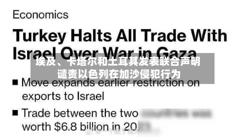 埃及、卡塔尔和土耳其发表联合声明 谴责以色列在加沙侵犯行为-第2张图片