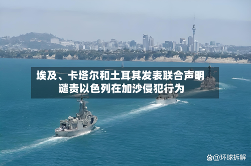 埃及、卡塔尔和土耳其发表联合声明 谴责以色列在加沙侵犯行为-第3张图片