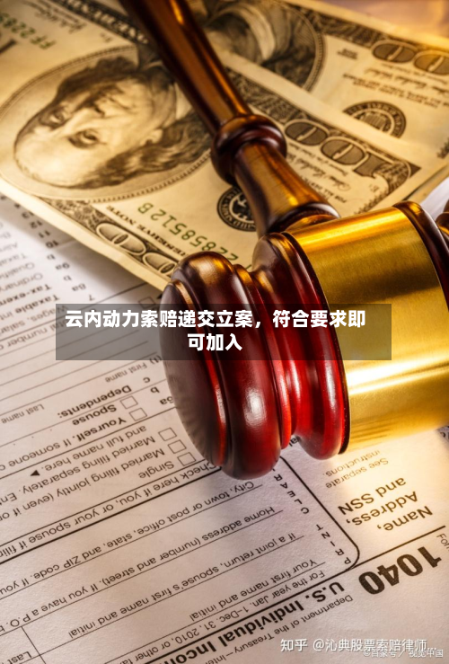 云内动力索赔递交立案	，符合要求即可加入-第2张图片