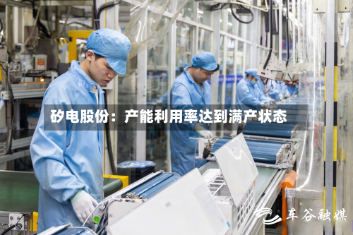 矽电股份:产能利用率达到满产状态-第1张图片