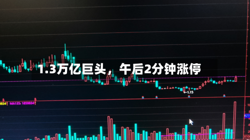 1.3万亿巨头	，午后2分钟涨停-第3张图片