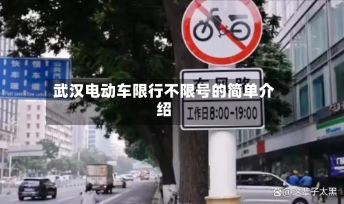 武汉电动车限行不限号的简单介绍-第1张图片