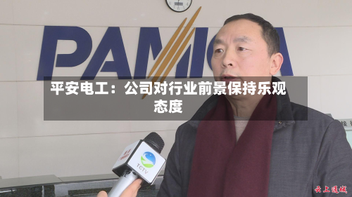 平安电工:公司对行业前景保持乐观态度-第1张图片