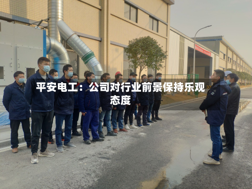 平安电工:公司对行业前景保持乐观态度-第2张图片