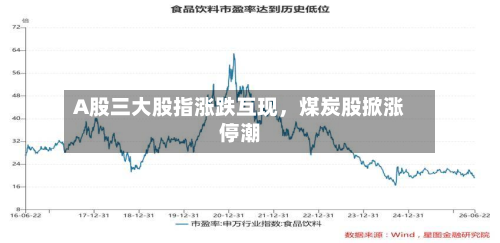 A股三大股指涨跌互现，煤炭股掀涨停潮-第2张图片