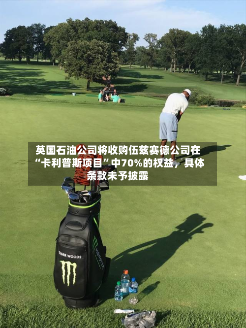 英国石油公司将收购伍兹赛德公司在“卡利普斯项目	”中70%的权益，具体条款未予披露-第2张图片